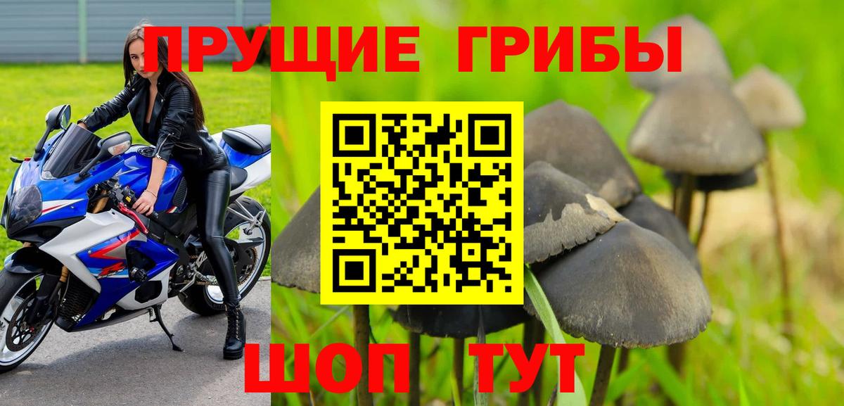 Галлюциногенные грибы MAGIC MUSHROOMS Саратов